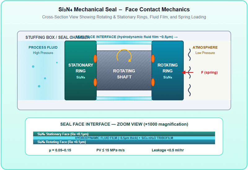 Si₃N₄ Mechanical Seal - Face Contact Mechanics