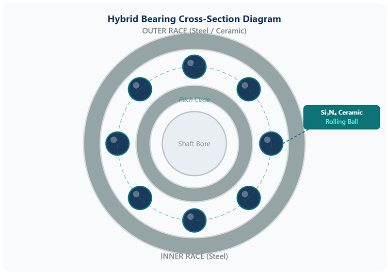 Diagramme de section transversale de roulement hybride Hybrid Bearing Cross-Section Diagram